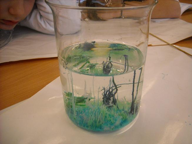 Chemikova zahr�dka